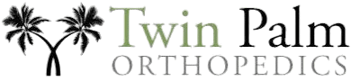 Twin Palm Orthopedics logo featuring elegant palm trees and professional typography for orthopedic services.